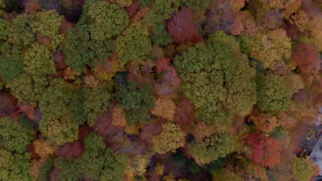 Drone-doing-a-pan-from-a-overhead-view-of-a-colourful-rest-and-revealing-a-quiet-neighbourhood