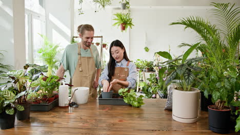 empleados amigables de la tienda de plantas que ayudan a un cliente