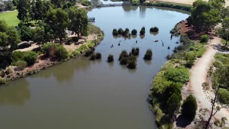 aerial fly over of wetlands and walking path