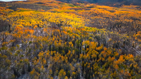 birds eye view kebler pass colorado aspen tree colorful yellow red orange forest early fall winter first snow rocky mountains breckenridge keystone vail aspen telluride silverton ouray pan up right