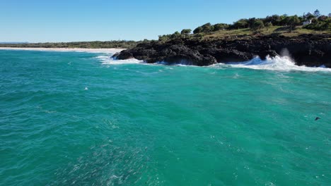school of mullet fish in sea surface with fingal headland in background