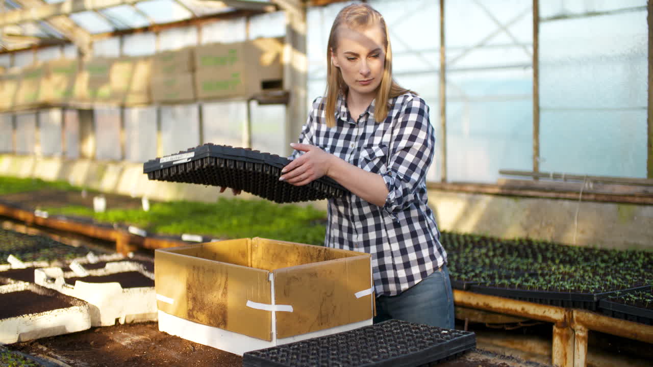 крупным планом женщина-садовник расставляет саженцы 9