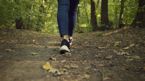 woman walking through a forest path