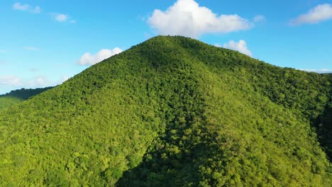 Flying high above the forested hills of St. Croix, this drone view captures rich tropical foliage stretching across the landscape with glimpses of the sea in the distance under clear skies