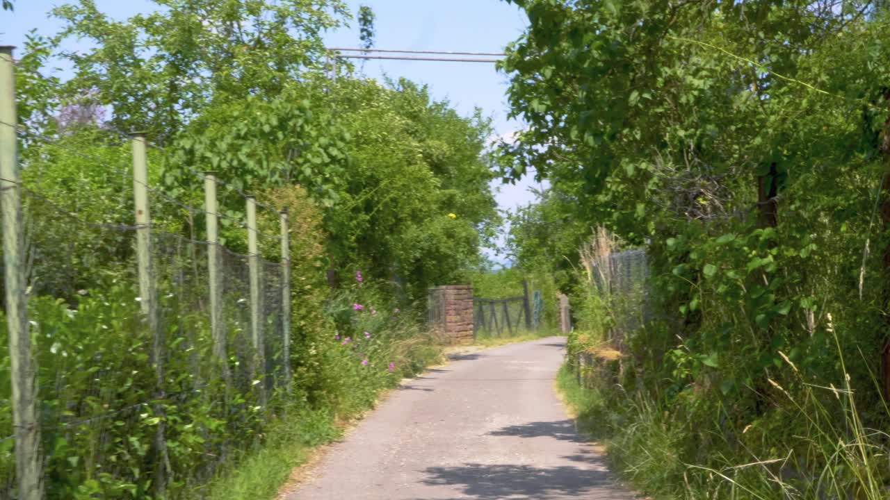 남부 독일의 여름에 토지 정원 지역을 걸어다니십시오.