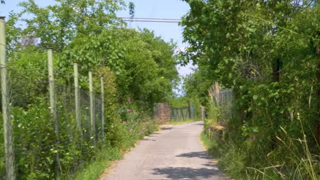 Paseo-Por-Una-Zona-Ajardinada-En-Verano-En-El-Sur-De-Alemania