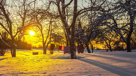 sun and tree shadows move across snow landscape, washing line