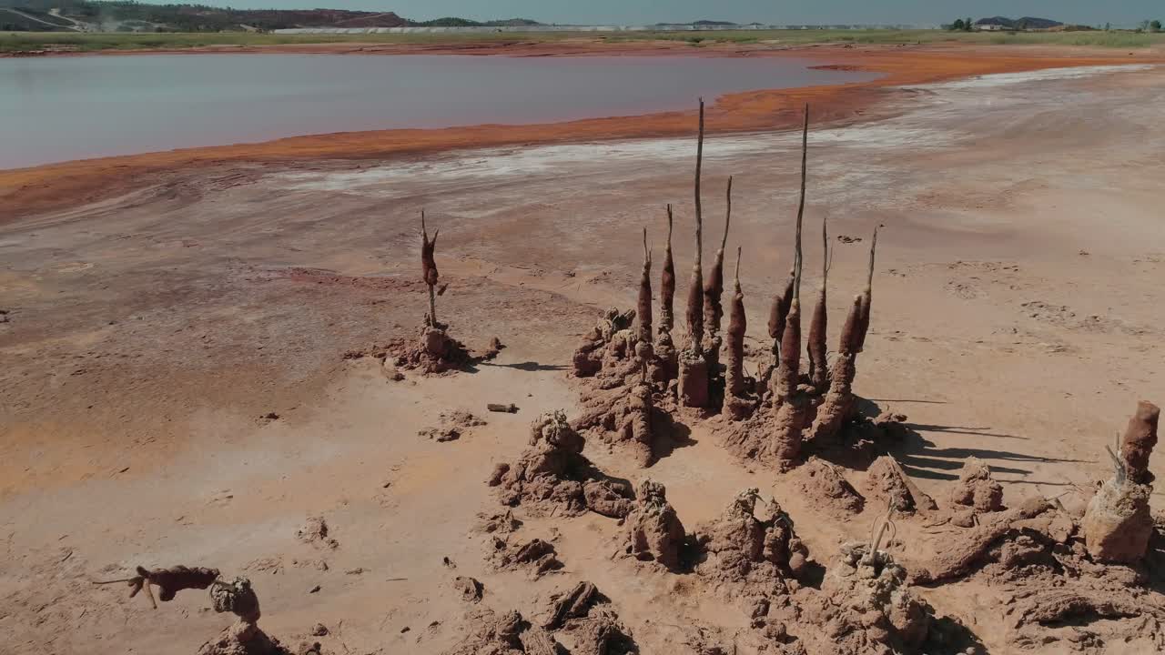 мертвые деревья в шахтах бунтинто, взятые во время