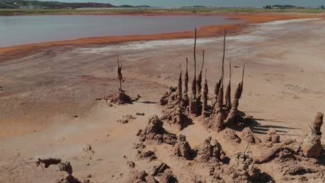 árboles muertos en las minas de riotinto tomados durante