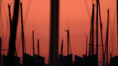 evening landscape yacht silhouette standing in seaport. sunst yacht. boat port