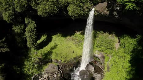 aerial view of north falls in silver falls state park in oregon, usa - drone shot