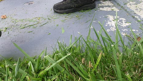 slow motion footage of a weed whacker cutting grass