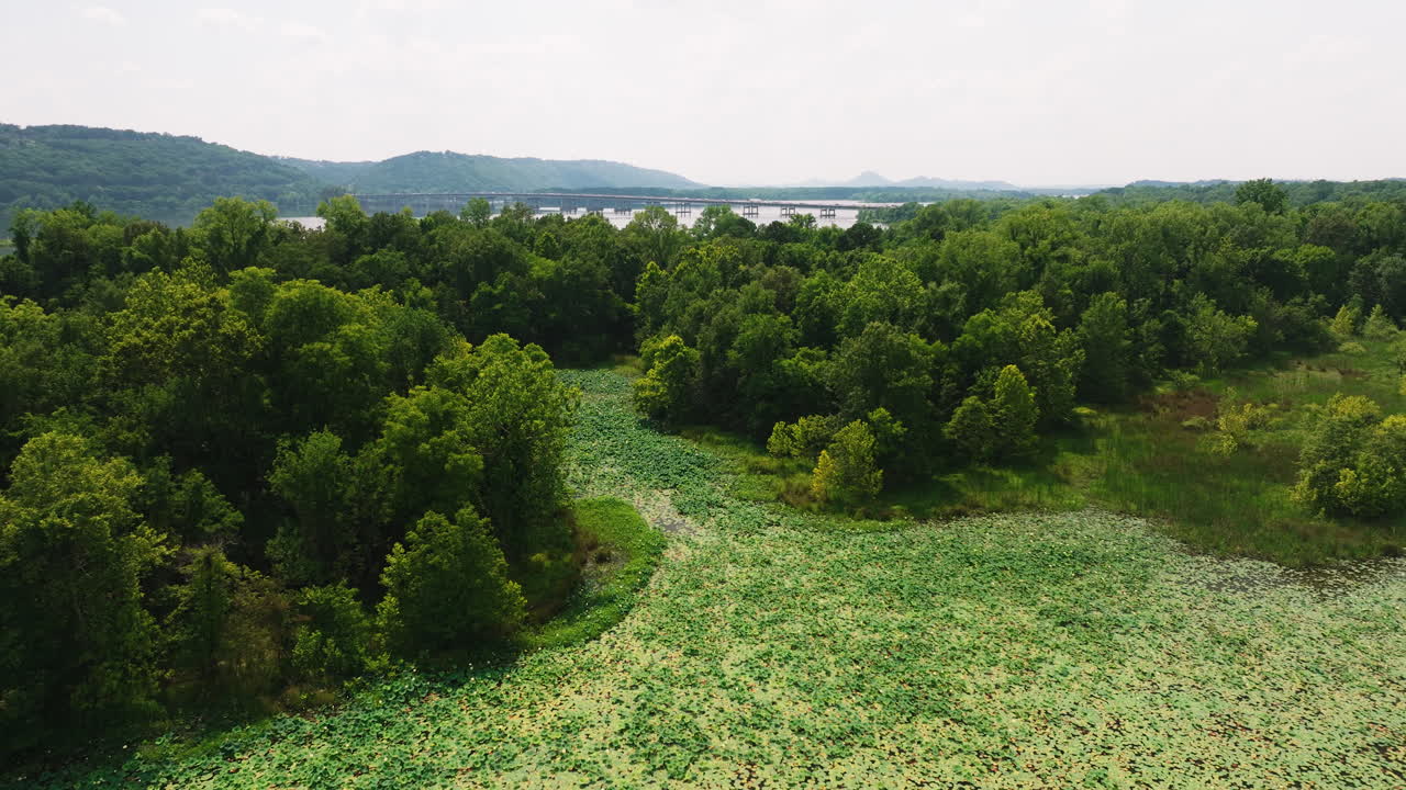 Wetland Swamp In Cook's Landing Park, Little Rock, Arkansas, USA - aerial shot