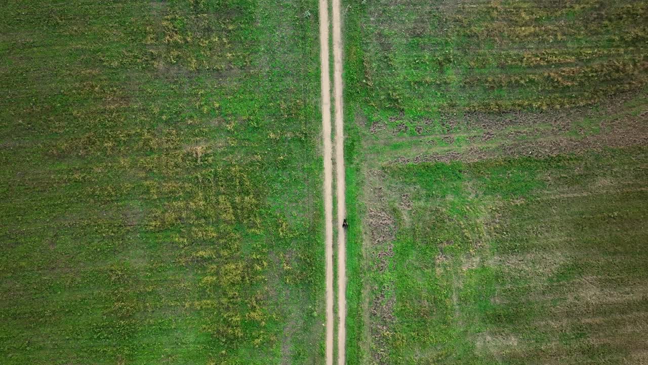 Prospettiva verticale di un ciclista che percorre una strada sterrata dritta in mezzo a una rigogliosa campagna verde. Ripresa aerea con drone che enfatizza la geometria e l'isolamento