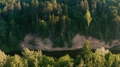 River-with-cliff-flowing-through-green-forest,-aerial-drone-shot
