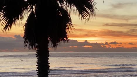 Palm-Trees-and-Birds-Silhouetted-Against-Orange-sky,-sun,-and-ocean