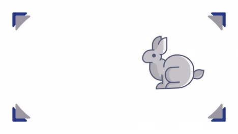 el video en 4k del conejo de pascua de dibujos animados en fondo blanco.