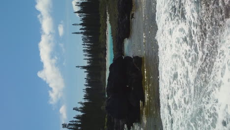 Oro-Bay-surrounded-by-Columnar-Pine-Trees