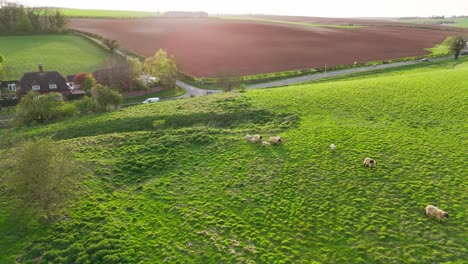 Luftaufnahmen-Einer-Drohne-Von-Einem-Kleinen-Dorf-Namens-Burwell-In-Lincolnshire-Im-Vereinigten-Königreich