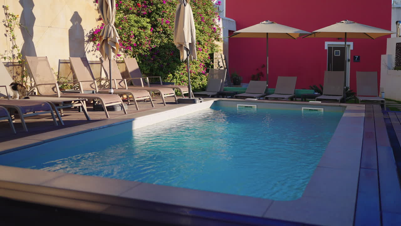 piscina al aire libre con camas de sol y sombrillas