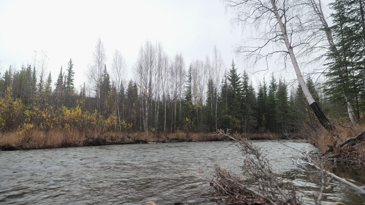 Serene Autumn River in a Forest