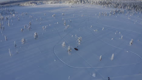 Sunset-drone-aerial-shot-of-a-traveller-riding-a-snowmobile-in-the-nature-of-Sweden