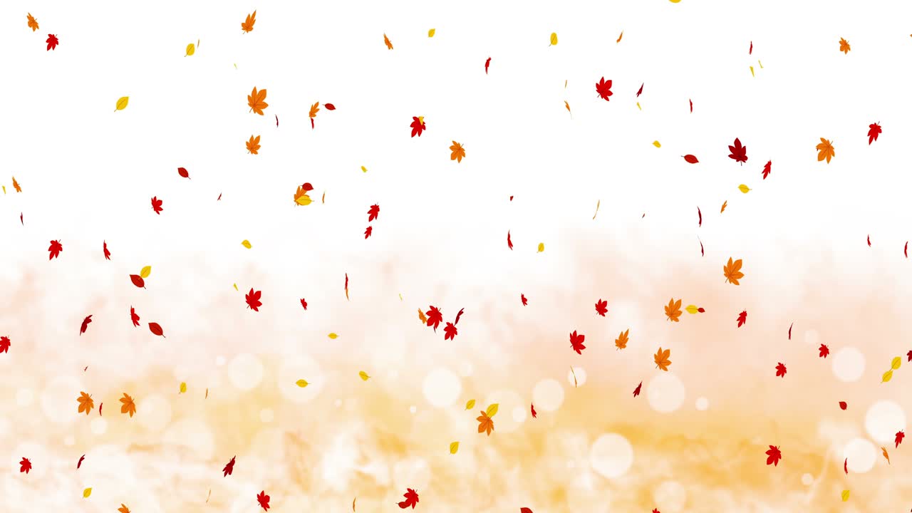 빛 은 잎은 빛과 함께 가을의 배경에서 흔들립니다. 아름다운 자연 장면. 일러스트레이션 메이플 잎. 가을 추상적인 그래픽. 루프 애니메이션.