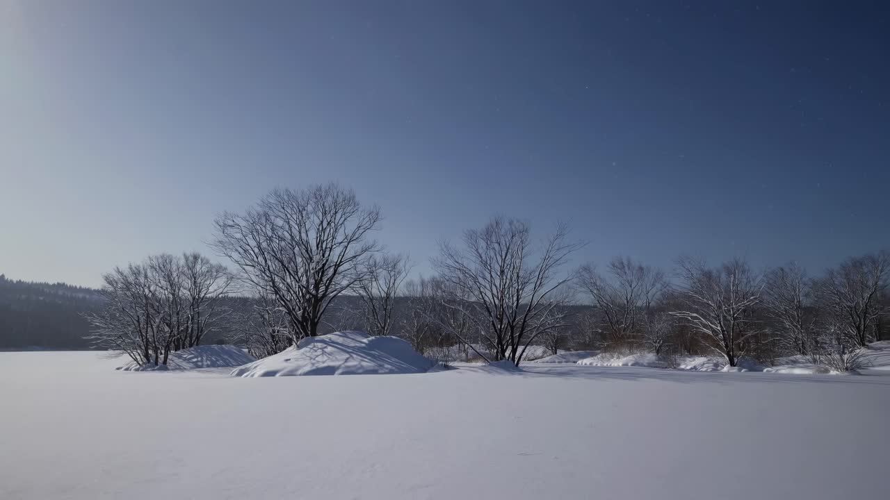 A serene winter landscape video captures snow-covered trees and fields from a low-angle