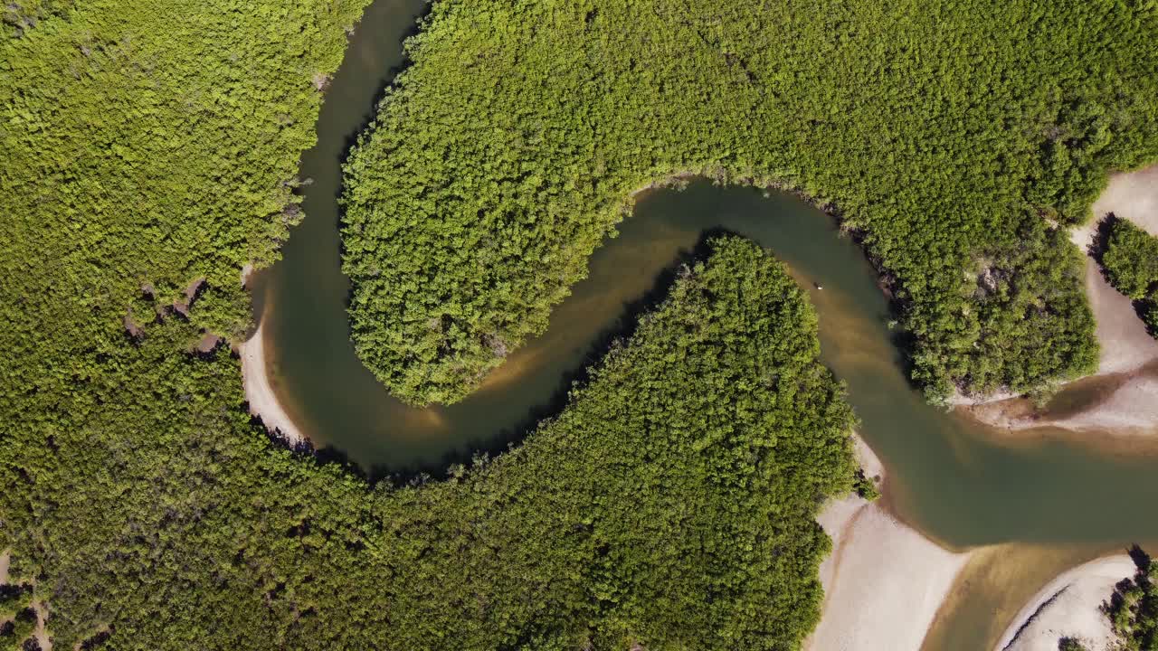 Aerial top down view of meandering river of mangroves