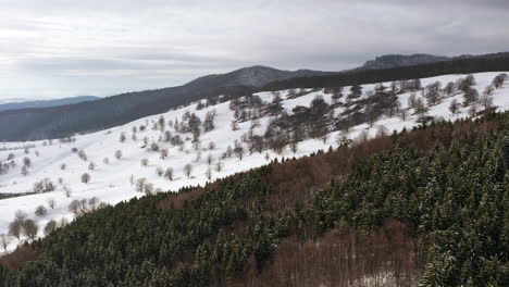 Slow,-peaceful-flyover-over-forested,-snowy-hillside