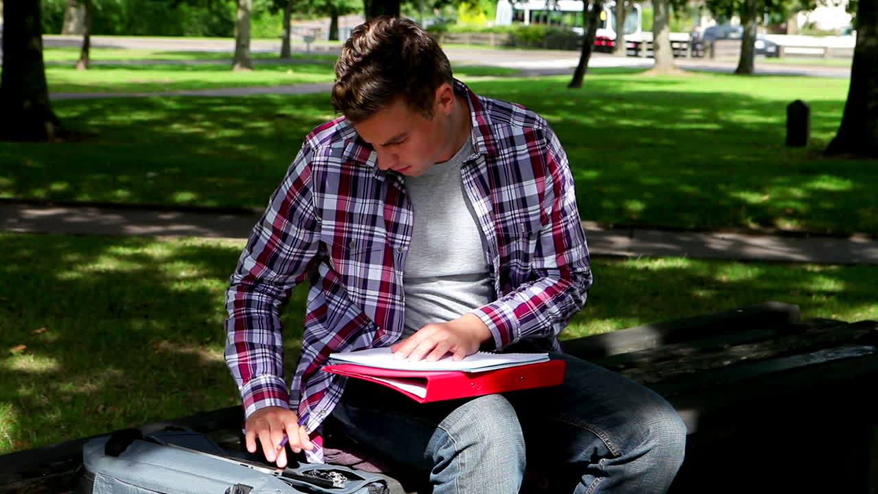 Young student studying on the bench outside