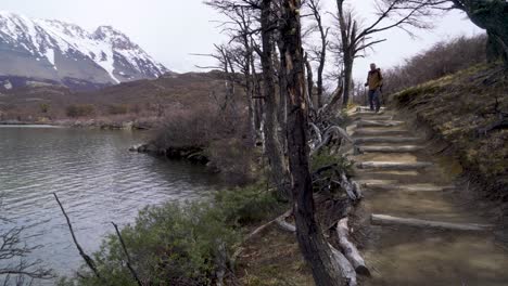 un excursionista recorre el desierto en una aventura en el nublado parque nacional fitz roy azotado por el viento argentina 3