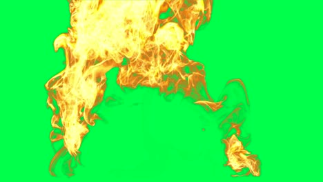 llamas en la pantalla verde