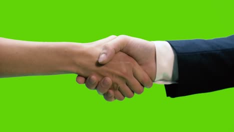 two business partners shaking hands against green screen background, chroma key, 4k pre-keyed footage