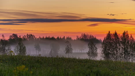 low-lying fog in the valley in the trees during a golden sunrise - time lapse