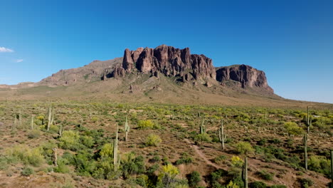 saguaro cactus and yellow shrubs line thin sandy hiking trail leading to base of superstition mountains arizona