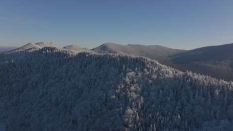 view of trees and mountains with snow in southern quebec, canada - aerial drone shot