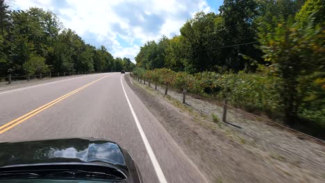 driving view of manitoulin island road, canada, with lush trees