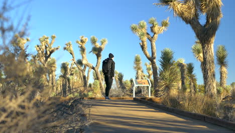 A-young-man-hiker-with-a-backpack-and-a-beanie-hiking-through-a-public-desert-habitat-nature-preserve-with-Joshua-Trees-and-plants-in-the-Antelope-Valley,-California