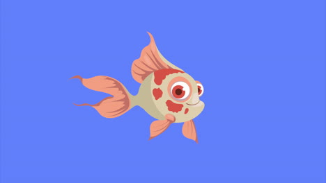 ornamental pink fish swiming sealife animation