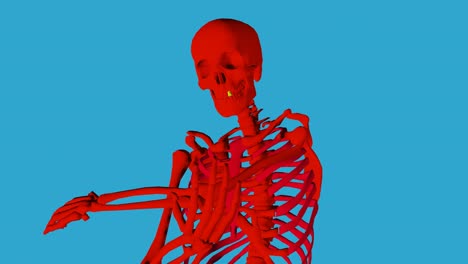 Skeletthand-Streichelt---Rot---Augen