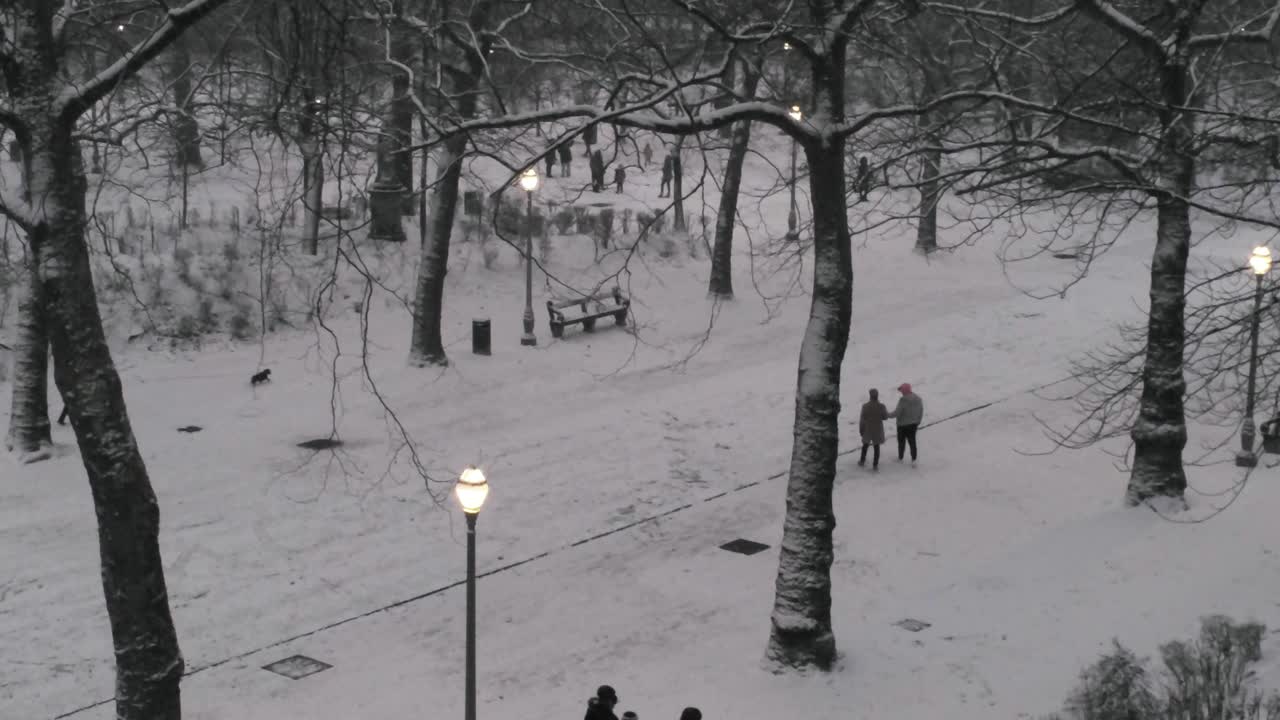 gente caminando en un parque nevado con árboles sin hojas y farolillos al atardecer