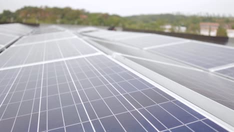 Rows-of-solar-panels-with-blurred-trees-in-the-background,-overcast-day