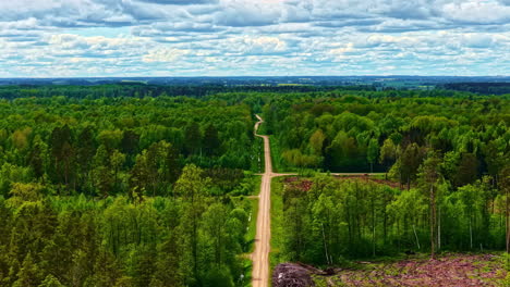 Straight forest road under cloudy sky in lush green landscape, peaceful spring mood