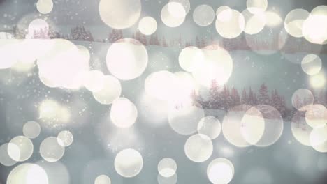 animation of spots of light over winter scenery with fir trees