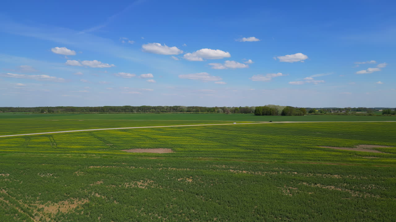 el vasto avión no tripulado permanece suspendido en el aire en el floreciente campo verde, capturando la vista de un vehículo que viaja por una carretera y revelando un magnífico panorama