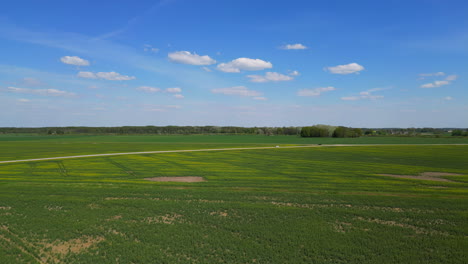 the vast drone remains suspended in the air in the flourishing, green countryside, capturing the sight of a vehicle traveling on a road and unveiling a magnificent panorama