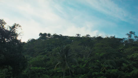 A-view-from-the-mountain-on-a-summer-at-Barangay-Mailum,-Bago-City,-Negros-Occidental,-Philippines