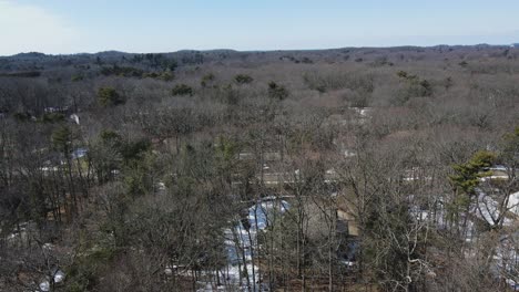 los bosques del oeste de michigan a principios de la primavera de 2022