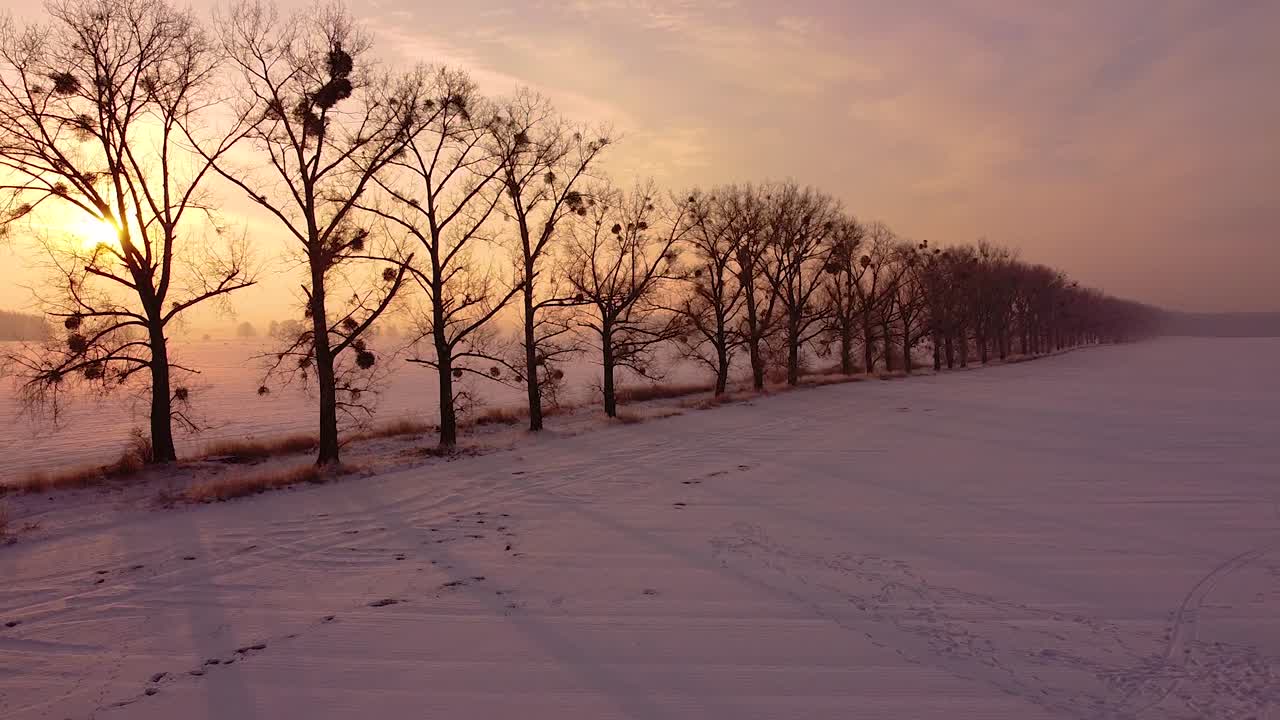 포플러 나무가 늘어선 비포장 도로와 따뜻한 떠오르는 태양을 향해 눈 덮인 들판을 날아
